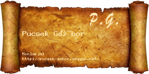 Pucsek Gábor névjegykártya